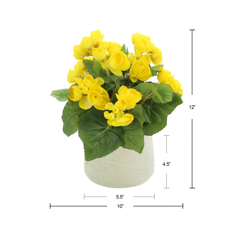 Begonia Floral Arrangement, Yellow, Beige