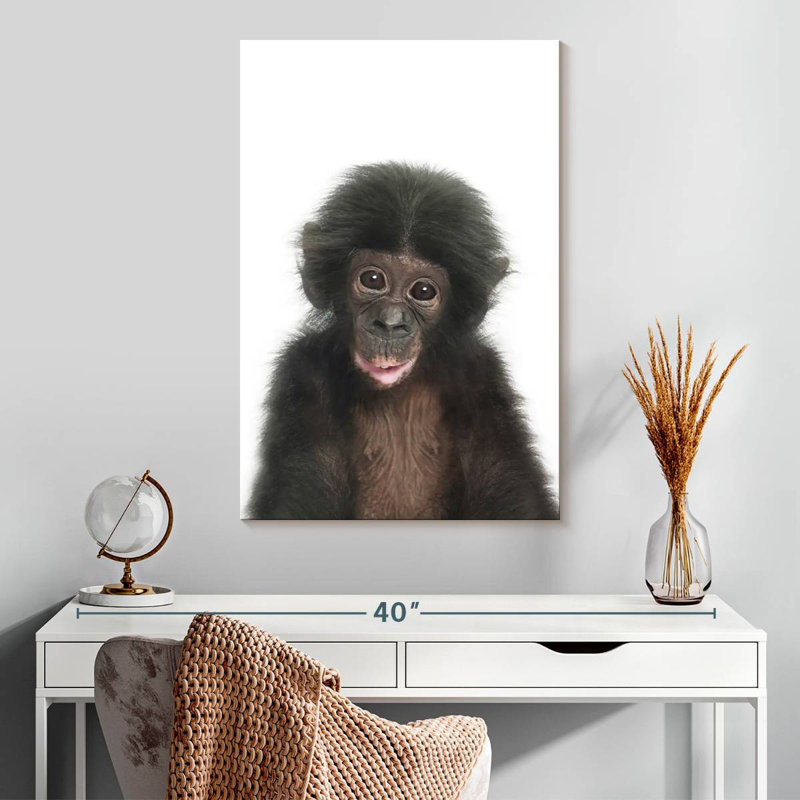 Bébé singe Brampt, H 30 po x l 20 po