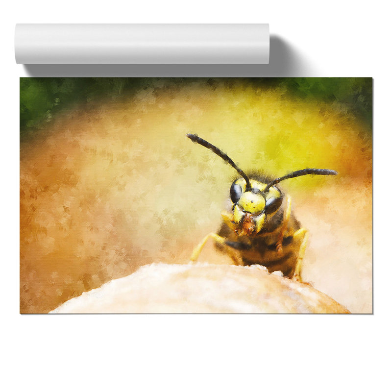 Wasp - No Frame Print, 30cm H x 42cm W x 0.1cm D