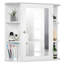 Amoriel Surface Framed Mirrored Bathroom Cabinets with Mirror-1245262994