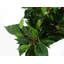 Anjeli 60cm Faux Foliage Plant in Pot