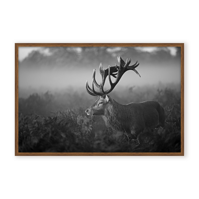 Nature Inspired Sunny Morning by  - Picture Frame Photograph on Paper, 16" H x 24" W x 1.125" D, Framed Print, Gold