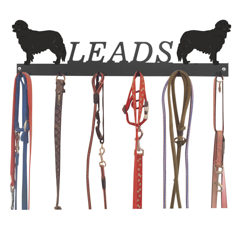 Ambrosine Wall Mounted Coat Rack