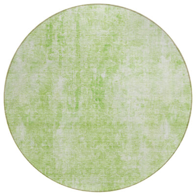  Caseville Area Rug