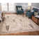 Shara Southwestern Indoor Rug
