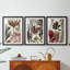 Coral & Seaweed Montage I - Impression sur mesure encadrée de qualité supérieure - 3 pièces-1656195426-1656195427