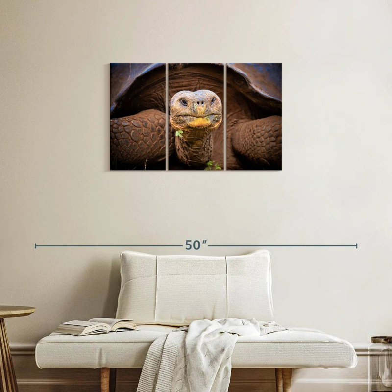 Brampt Galapagos Tortoise, 20" H x 33" W