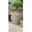 Misael Fibreglass Planter-14486346