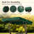 Replacement Canopy-88343868-88343871