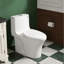 Toilette allongée une pièce à double chasse 1,1 / 1,6 GPF avec siège confortable de 16,34 po de hauteur, surface vitrée en céramique (siège à fermeture en douceur inclus)