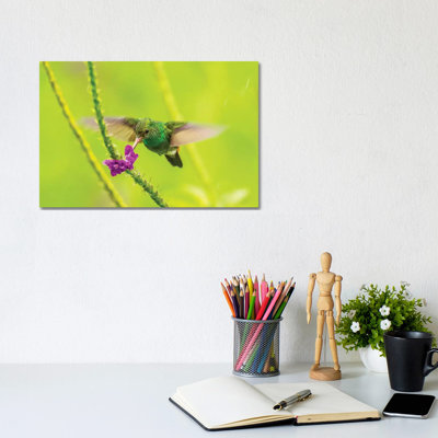 Costa Rica, Arenal 1 Piece Wrapped Canvas Wall Art