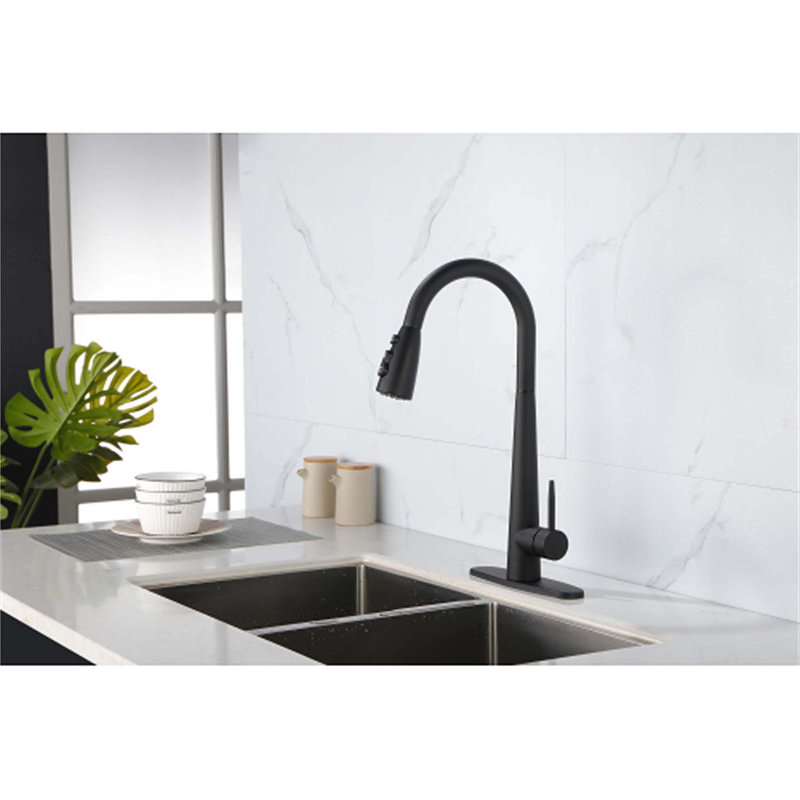 Red Cloud Pull Down Kitchen Faucet, Black