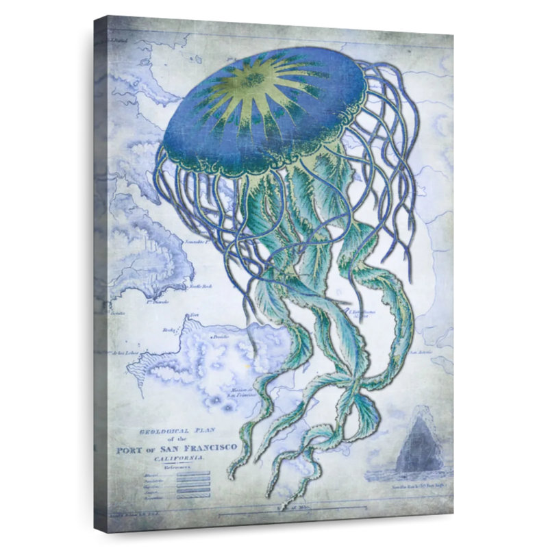 Jellyfish On Image Of Nautical Map, 36" H x 24" W