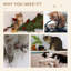 134.2cm H Cat Tree