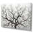 Toile tendue