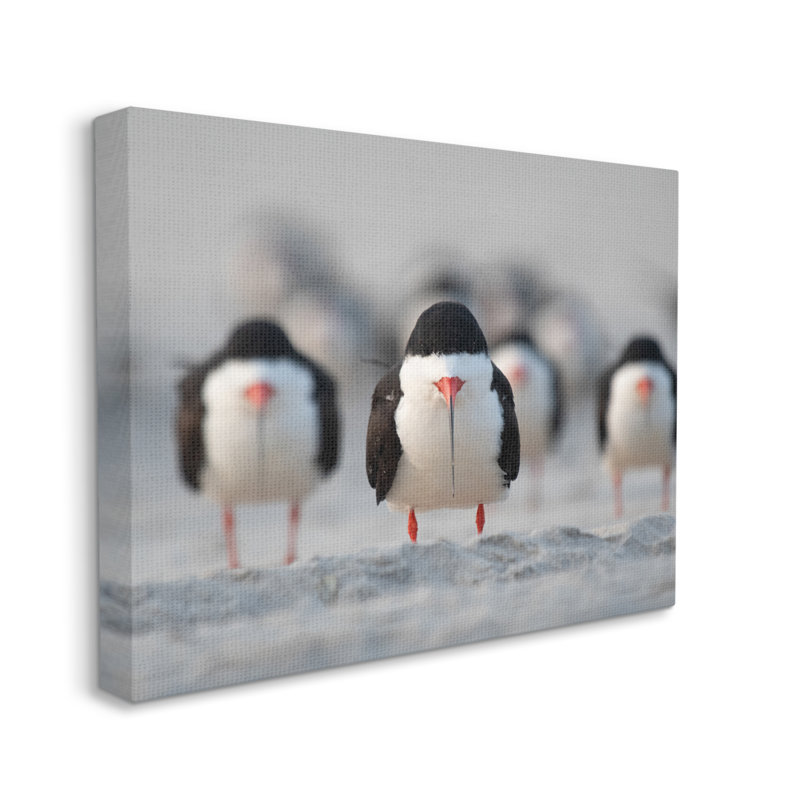 «Black Skimmer Gang» par Ke Qiang Ruan, H 30 po x l 40 po x P 1,5 po