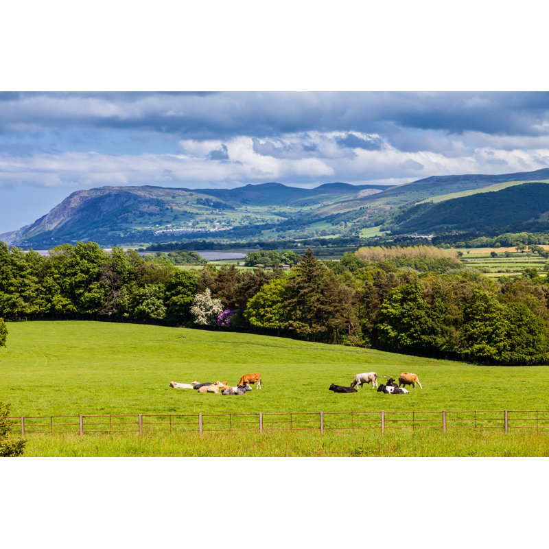 Frankel Welsh Mountains And Countryside - Wrapped Canvas Print, 30cm H x 46cm W x 3.8cm D