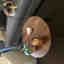 Customer photo 2 of 2