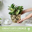 Handmade Pot Planter