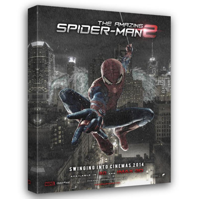 The Amazing Spider Man 2