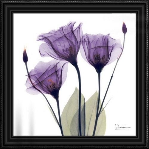 «Manigault», fleur mauve par Kiranjit, reproduction de photo, H 24 po x l 24 po, Impression encadrée, Blanc
