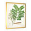 Vintage Botanicals VII - peinture sur toile-59814187-59814186