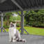 Perchoir pour chat Catio-879493504
