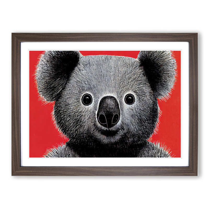 Select Koala Bear - Framed Print, 46cm H x 64cm W x 2cm D, Walnut