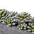 5.5'' Faux Succulent Plant in Stone Planter