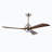 Kamrie 18.1'' Ceiling Fan with LED Lights