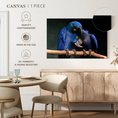 Hyacinth Blue Macaws