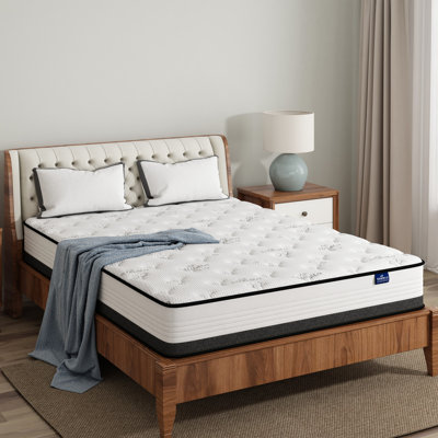 Alwyn Home Tayah 10 Inch Memory Foam Hybrid Mattress in a Box -  DF8968C70A7643AAB794731A9F8854CB