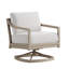 Swivel Chair-257469514
