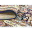 Tapis bleu Jackson Jackson-19382368-130773963
