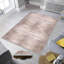 Luxueux tapis tissé imprimé en 3D, 55,1 po x 86,6 po | 100% polyester, antibactérien, lavable à la machine | Pois en feutre antidérapant en PVC, d'une hauteur de poils de 0,3 po | Parfait pour le salon, la chambre à coucher et la décoration intérieure-627604286