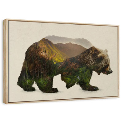 North American Brown Bear