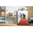 Indoor Rug-1191243448