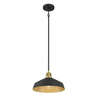 Luminaire suspendu 1 lumière Axlen
