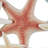 Abay Metal Layered Starfish Brown Wall Decor with Blue and Red Accents