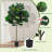 62.4'' Faux Fiddle Leaf Fig Tree Tree in Cement Pot