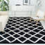 Tapis noir / blanc Alberthe-420907957
