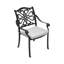 Kerber Patio Dining Armchair with Cushion