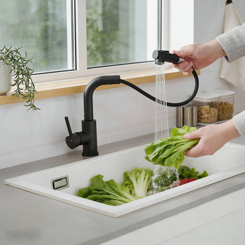 Robinet d'évier de bar moderne, évier de cuisine à poignée simple avec douchette extractible, Noir
