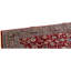 Wool Oriental Area Rug in Navy
