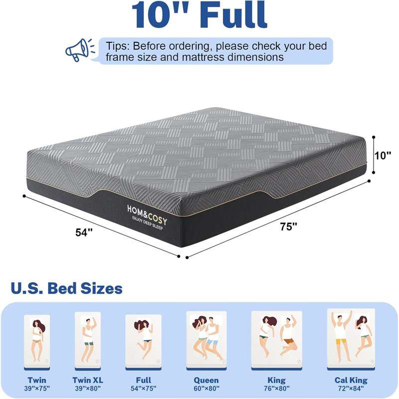 Alwyn Home Memory Foam Firm & Luxury Cooling Gel Green Tea Mattress, Twin XL, 10"
