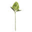 28-Inch Cone Hydrangea Stem-302745741