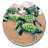 Stoneware Round 2 Piece Car Coaster Set