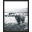 «Farm Landscape Animal noir et blanc» sur papier-98266595-98266596