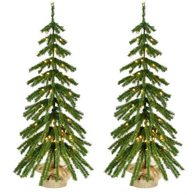 48' Lighted Fir Christmas Tree