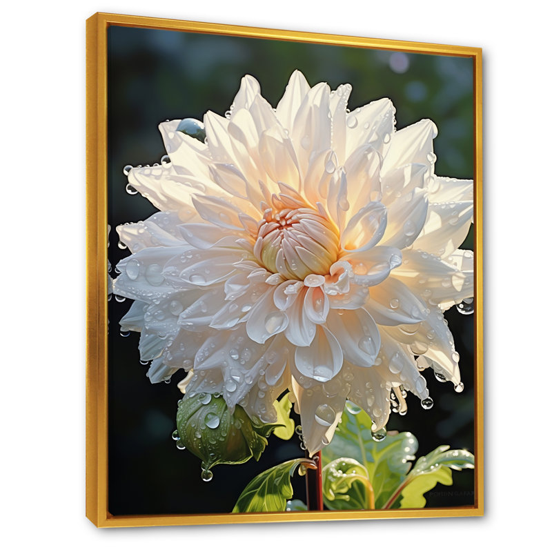 A Dance Of White Dahlias Florescence, reproduction d'art sur toile, Cadre flottant doré, H 20 po x l 12 po x P 1 po